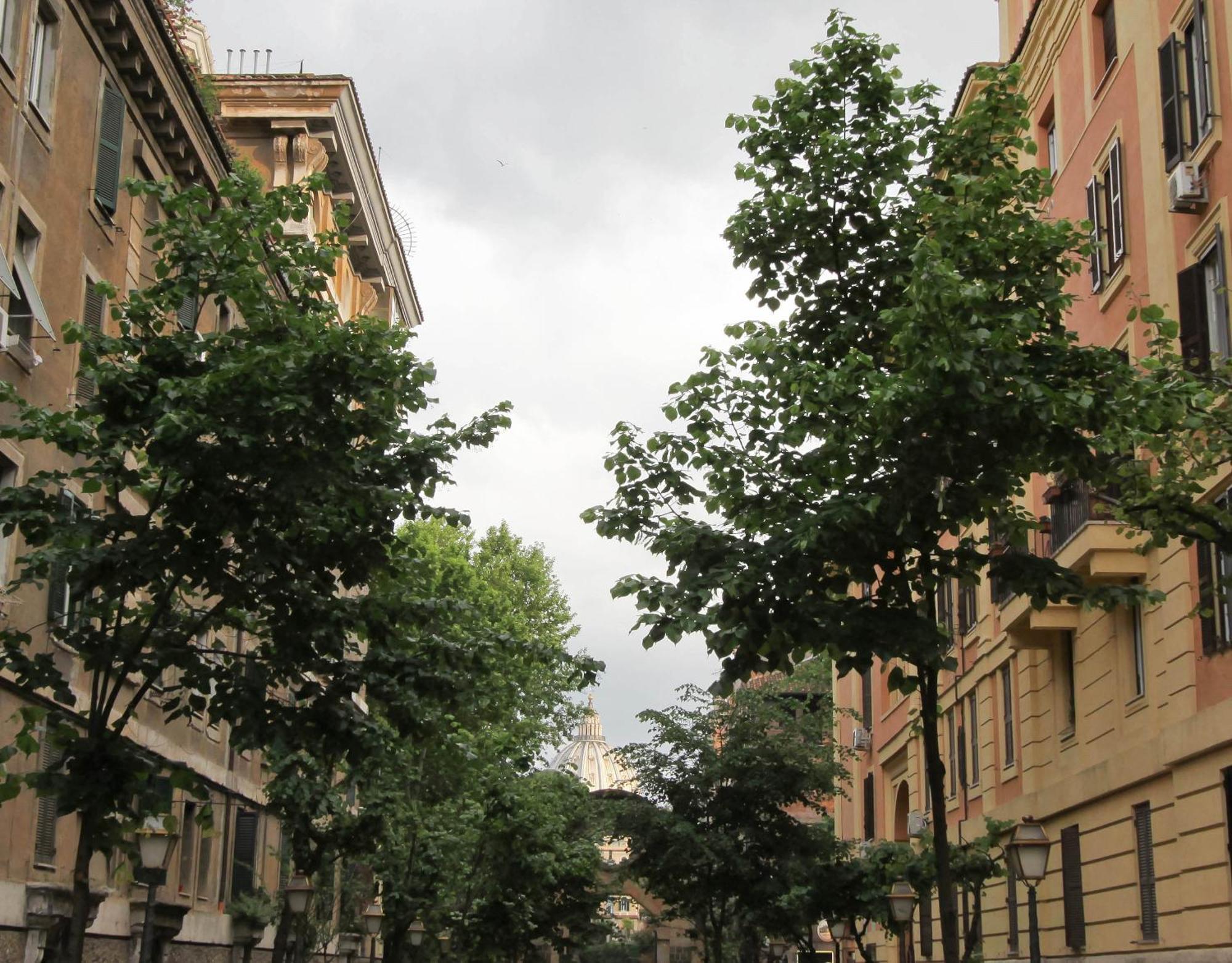 Affittacamere San Pietro Resort Rome Buitenkant foto